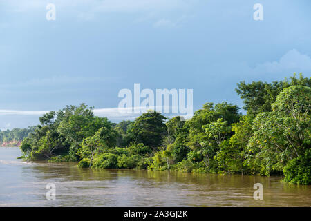 Ein 2 - Tages - riverboat Reise von Manaus Tefé auf dem Amazonas Fluss oder Rio Solimoes, Ende der Regenzeit, der Amazonas, Brasilien, Lateinamerika Stockfoto