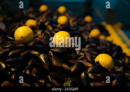 Bereit zu essen, Muscheln mit würzigen gekochten Reis und Zitrone gefüllt. Street Food Konzept. Mittelmeerraum. Traditionelle in der Türkei. Selektive konzentrieren. Stockfoto