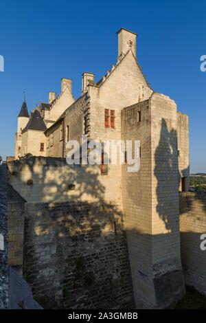 Frankreich, Indre et Loire, Loire-Tal UNESCO Weltkulturerbe, Burg Chinon, mittelalterlichen Stil, königliche Festung von Chinon, die königliche Residenz, aus dem Innenhof Innenraum Stockfoto