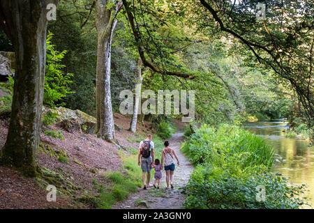 Frankreich, Finistere, Pont-Aven, Auf den Spuren von Paul Gauguin, Bois d'Amour Stockfoto