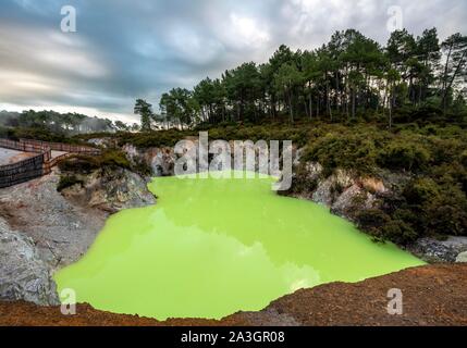 Green Devil Bad Thermalsee in Wai-O-Tapu Thermalgebiet Waiotapu, Rotorua, Waikato Region, Neuseeland Stockfoto