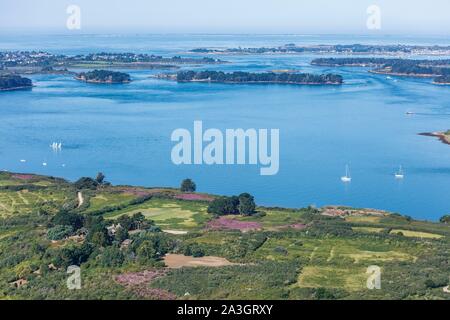 Frankreich, Morbihan, Golf von Morbihan, Heather auf l'Ile aux Moines (Luftbild) Stockfoto