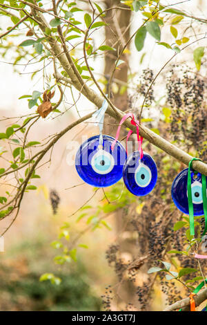 Die Zweige der alten Baum dekoriert mit dem Auge-geformten Amulette - Nazars, aus blauem Glas und geglaubt, gegen den bösen Blick in Göreme zu schützen. Stockfoto
