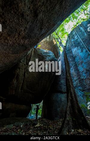 Kolumbien, Vichada, Puerto Carreno, Ventana finden auf der Orenoco Flusses, Spaziergang im Dschungel inmitten von Felsen und Ceiba ceiba pentandra Stockfoto