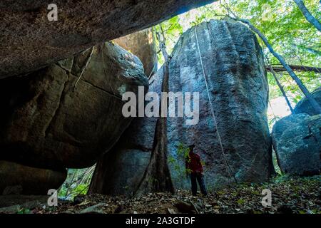 Kolumbien, Vichada, Puerto Carreno, Ventana finden auf der Orenoco Flusses, Spaziergang im Dschungel inmitten von Felsen und Ceiba ceiba pentandra Stockfoto