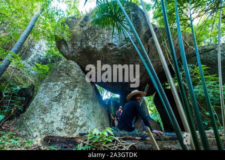 Kolumbien, Vichada, Puerto Carreno, Ventana finden auf der Orenoco Flusses, Spaziergang im Dschungel inmitten von Felsen und Ceiba ceiba pentandra Stockfoto