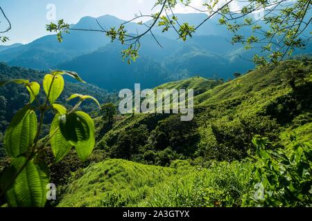 Kolumbien, Sierra Nevada de Santa Marta, Tayrona Park, Trek der verlorenen Stadt, eingetragenes Weltkulturerbe der UNESCO Stockfoto