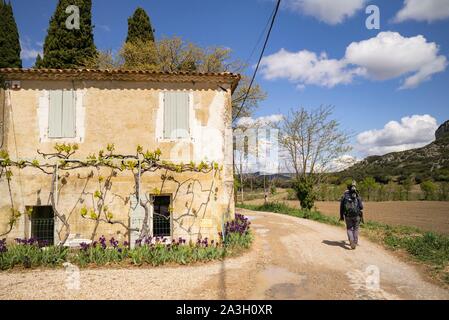 Frankreich, Bouche-du-Rhône, Aureille, Alpillen, Opies Berg, Mas Stockfoto