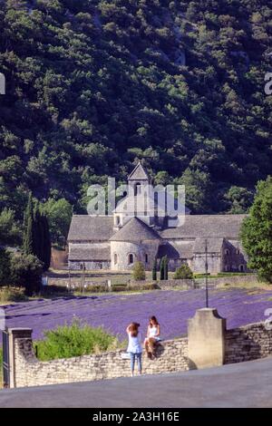 Frankreich, Vaucluse, Gemeinde Gordes, Touristen vor ein Feld von Lavendel der Abtei Notre Dame De Senanque des 12. Jh. Stockfoto