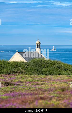 Frankreich, Finistere, - Cleden-Cap Sizun, Pointe du Van, saint-they Kapelle und La Vieille Leuchtturm im Hintergrund Stockfoto