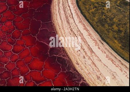 Tansania, Rift Valley, Lake Magadi Lake Natron aus der Luft betrachtet werden Seen von Soda (Luftbild) Stockfoto