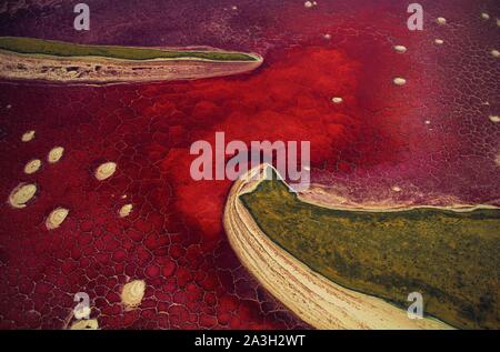 Tansania, Rift Valley, Lake Magadi Lake Natron aus der Luft betrachtet werden Seen von Soda (Luftbild) Stockfoto