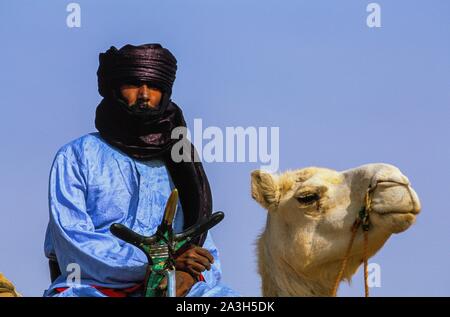 Algerien, Sahara, Tamanrasset, Tuareg auf ihre Kamele für die Tafsit Rennen Stockfoto