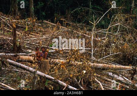 Ecuador, Orellana, Rio Cononaco, der Zerstörung ihres Lebensraums durch Förster und Ölgesellschaften, die huaorani sind eines der letzten zwei Stämme der Jäger-und-Sammler, die in das Herz des Regenwaldes in Ecuador leben Stockfoto