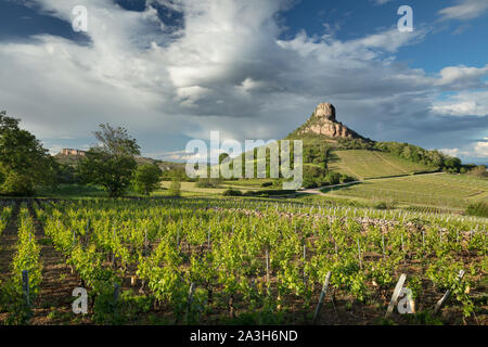 La Roche de Solutré, Solutré-Pouilly, Bourgogne, Frankreich Stockfoto