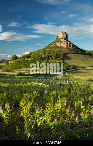 La Roche de Solutré, Solutré-Pouilly, Bourgogne, Frankreich Stockfoto