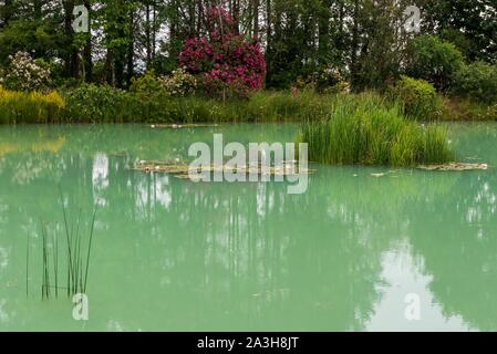 Frankreich, Loiret, Montbarrois, Parc du Manoir de la Javeliere (Javeliere Manor House Park), Blick auf den Garten und den See Stockfoto