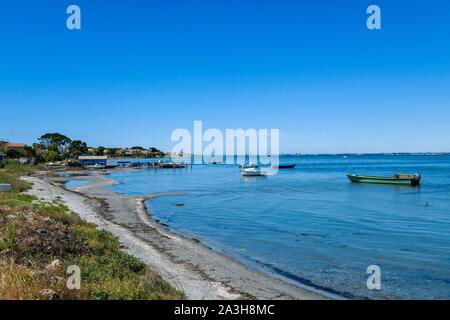 Frankreich, Herault, Sete, Etang de Thau, Rand des Teiches in der castelmaure Bezirk Stockfoto