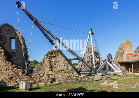 Mittelalterliche hölzerne human powered treadwheel Kran im Château de Tiffauges, mittelalterliche Burg, Vendée, Frankreich Stockfoto