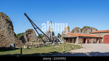 Mittelalterliche hölzerne human powered treadwheel Kran im Château de Tiffauges, mittelalterliche Burg, Vendée, Frankreich Stockfoto