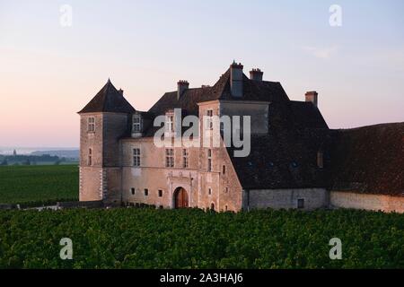 Frankreich, Cote d'Or, Vougeot, kulturellen Landschaft des Burgund Klimas als Weltkulturerbe von der UNESCO, Cote de Nuits, das Schloss und die Reben bei Sonnenaufgang Stockfoto