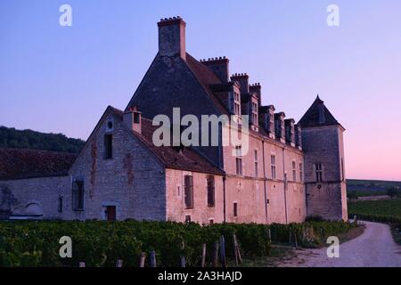 Frankreich, Cote d'Or, Vougeot, kulturellen Landschaft des Burgund Klimas als Weltkulturerbe von der UNESCO, Cote de Nuits, das Schloss und die Reben bei Sonnenaufgang Stockfoto