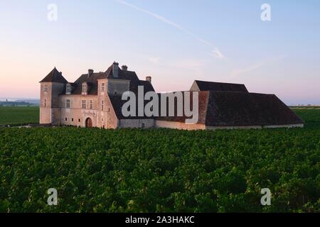 Frankreich, Cote d'Or, Vougeot, kulturellen Landschaft des Burgund Klimas als Weltkulturerbe von der UNESCO, Cote de Nuits, das Schloss und die Reben bei Sonnenaufgang Stockfoto