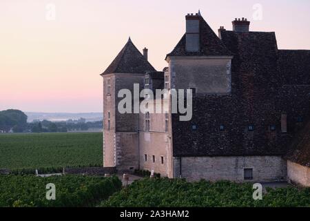 Frankreich, Cote d'Or, Vougeot, kulturellen Landschaft des Burgund Klimas als Weltkulturerbe von der UNESCO, Cote de Nuits, das Schloss und die Reben bei Sonnenaufgang Stockfoto
