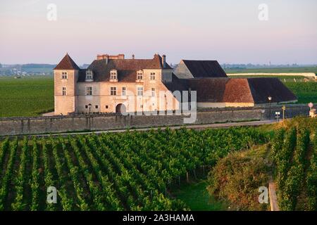 Frankreich, Cote d'Or, Vougeot, kulturellen Landschaft des Burgund Klimas als Weltkulturerbe von der UNESCO, Cote de Nuits, das Schloss und die Reben bei Sonnenaufgang Stockfoto