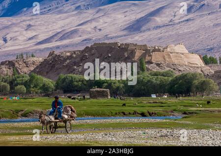 China, Xinjiang, Pamir Hochland, Weiden und semi-nomadischen tadjik Gemeinschaften von Taxkorgan, adobe Festung von Shitou, über 2000 Jahre alt Stockfoto