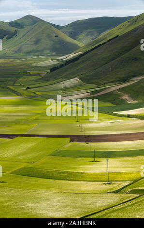 Die Farben und Texturen der Piano Grande, Nationalpark Monti Sibillini, Umbrien, Italien Stockfoto