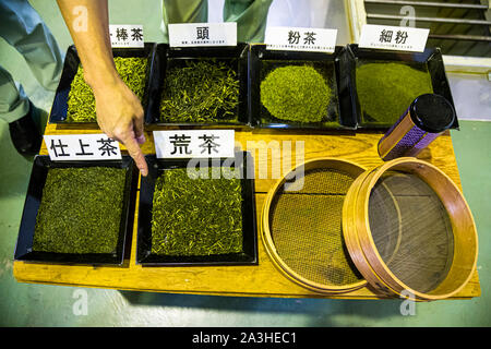 Verschiedene Qualitäten von Tee. Sencha ist an den nadelförmigen Blättern gut erkennbar. Fabrik für grünen Tee in Hamamatsu, Japan