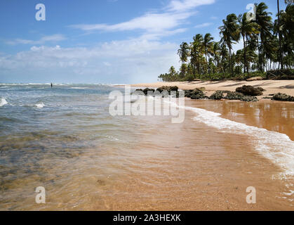 Tropischen brasilianischen Strand. Schönen unberührten Paradies. Stockfoto