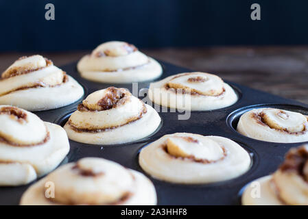 Hausgemachte hoch Cinnamon Roll steigt in einem Muffin tin. Selektiver Fokus auf Center mit unscharfen Vordergrund und Hintergrund. Stockfoto