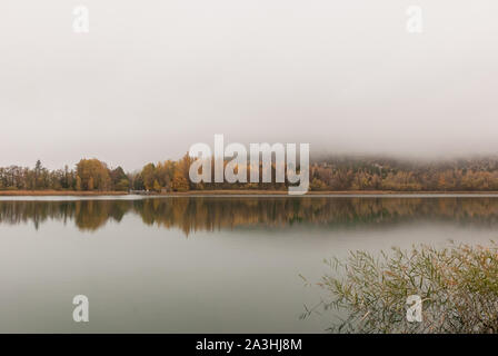 Herbst in der Laguna de Uña in Cuenca, Spanien Stockfoto