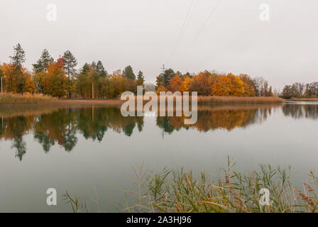 Herbst in der Laguna de Uña in Cuenca, Spanien Stockfoto