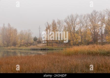 Herbst in der Laguna de Uña in Cuenca, Spanien Stockfoto