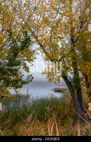 Herbst in der Laguna de Uña in Cuenca, Spanien Stockfoto