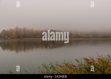 Herbst in der Laguna de Uña in Cuenca, Spanien Stockfoto