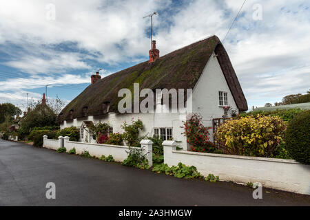 Ein weißes Thatached Cottage in Avebury Dorf Wiltshire, England, Großbritannien Stockfoto