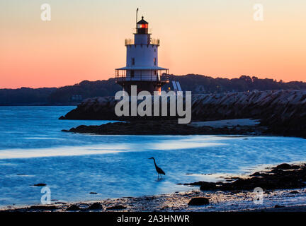 SOUTH Portland, ME - 13. SEPTEMBER: A Great Blue Heron watet, bewegungslos, warten auf eine Mahlzeit selbst zu offenbaren, in der Dämmerung, in der Nähe der Feder Punkt Vorsprung Lightho Stockfoto