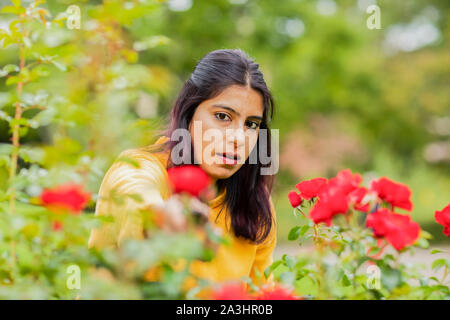 Junge Frau außerhalb schneiden Rosen Stockfoto