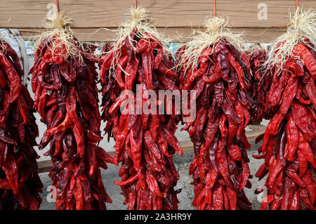 Chile (GEK) Paprika Trocknen im Freien ein Geschäft in der Stadt Taos New Mexico USA. Stockfoto