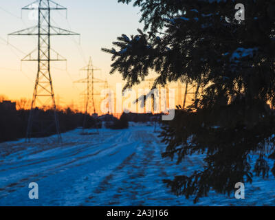 Ast vor Powerlines während des Sonnenuntergangs. Stockfoto