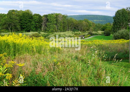 Malerische Landschaft des Windham Pfad in den Catskills, Upstate New York, USA Stockfoto