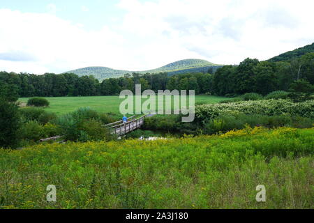 Malerische Landschaft des Windham Pfad in den Catskills, Upstate New York, USA Stockfoto