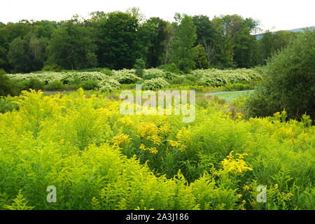 Malerische Landschaft des Windham Pfad in den Catskills, Upstate New York, USA Stockfoto