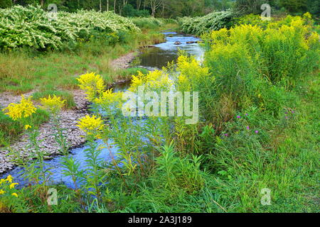 Malerische Landschaft des Windham Pfad in den Catskills, Upstate New York, USA Stockfoto