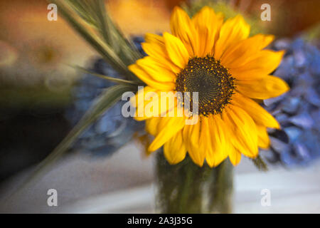 Gelbe Sonnenblumen mit Hortensien und grün Tabelle Mittelstück Stockfoto