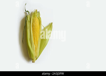 Kreative Gestaltung von frischem organischen Süßmais aus der Farm auf einem weißen Hintergrund zu isolieren. Ansicht von oben. Flach. Essen Konzept. Makro Konzept. Diät co Stockfoto
